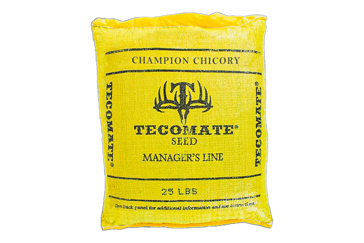 Champion Chicory — Deer Food Plot Seed
