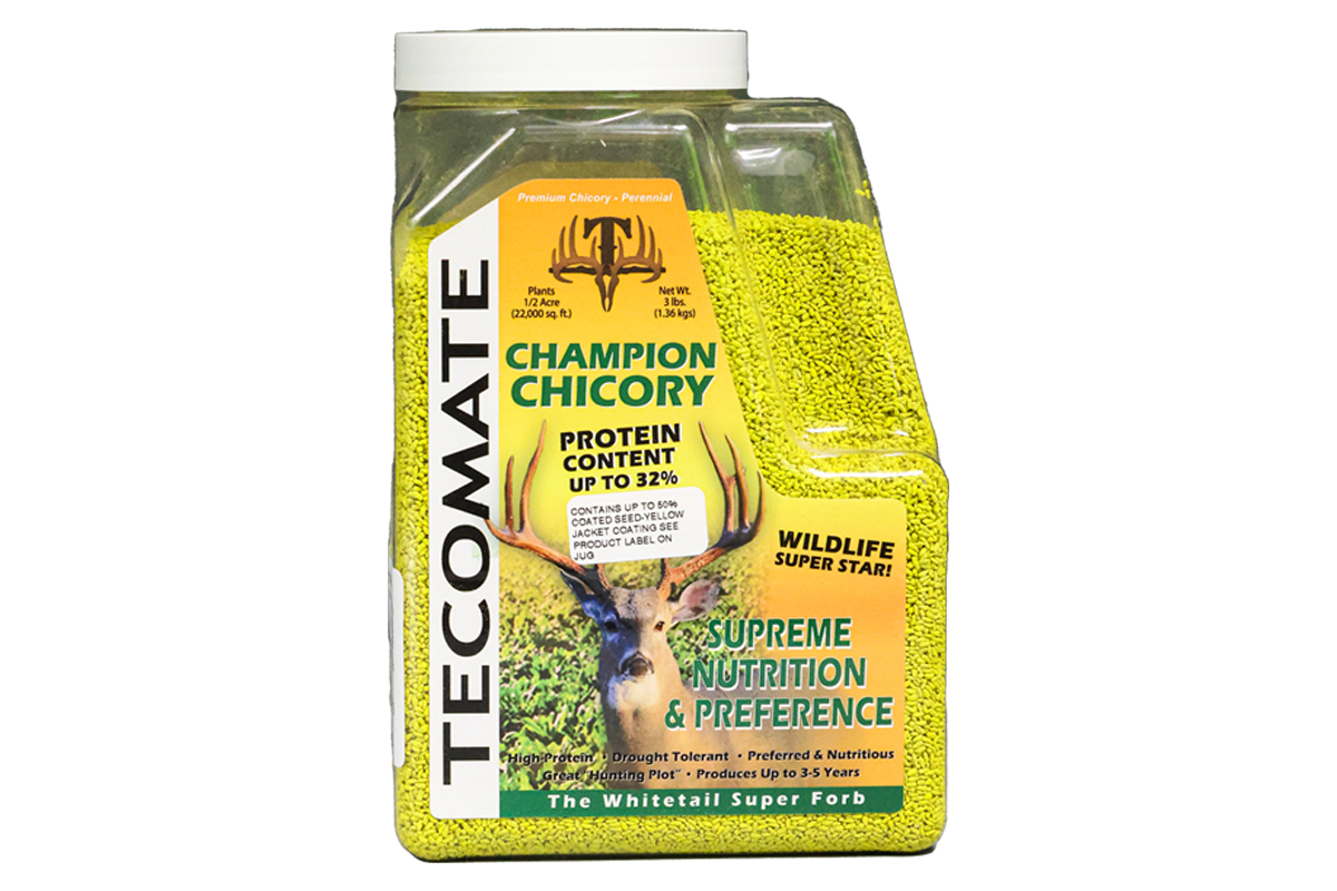 Champion Chicory — Deer Food Plot Seed