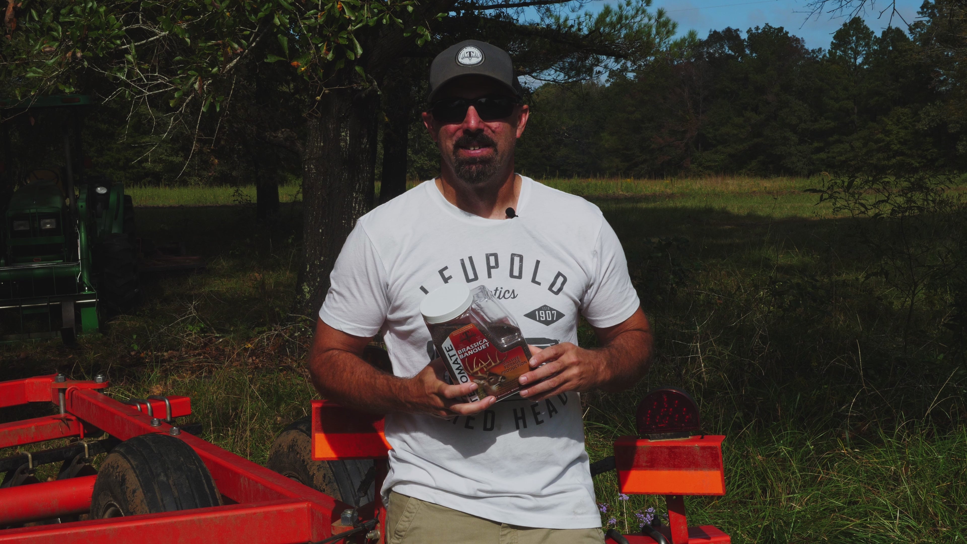 Brassica Banquet — Deer Food Plot Seed