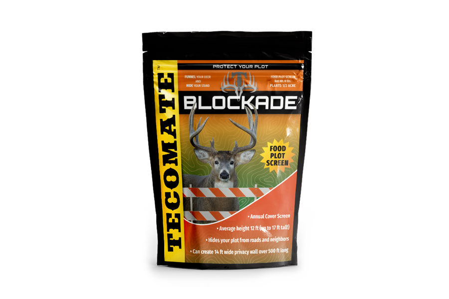 PlatinA Forest 配布デモテープ『Player for dear』 PlatinA Forest 配布デモテープ『Player for dear』 PlatinA Forest