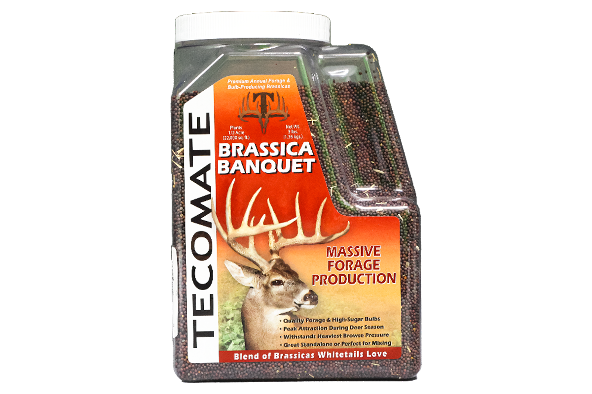 Brassica Banquet — Deer Food Plot Seed