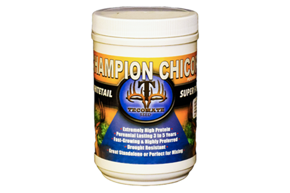 Champion Chicory — Deer Food Plot Seed