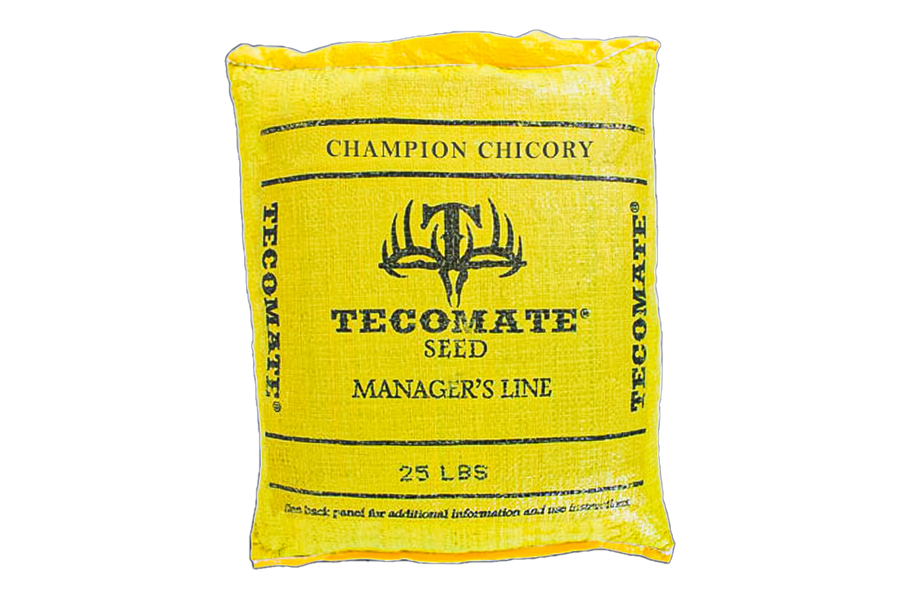 chicory herbicide Deer Food Plot Seed — Champion Chicory – Tecomate