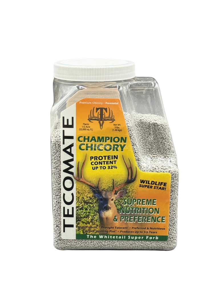 Champion_Chicory_-