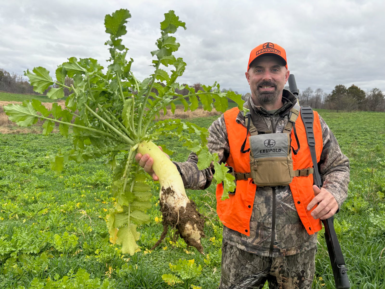 Root King Radish — Deer Food Plot Seed