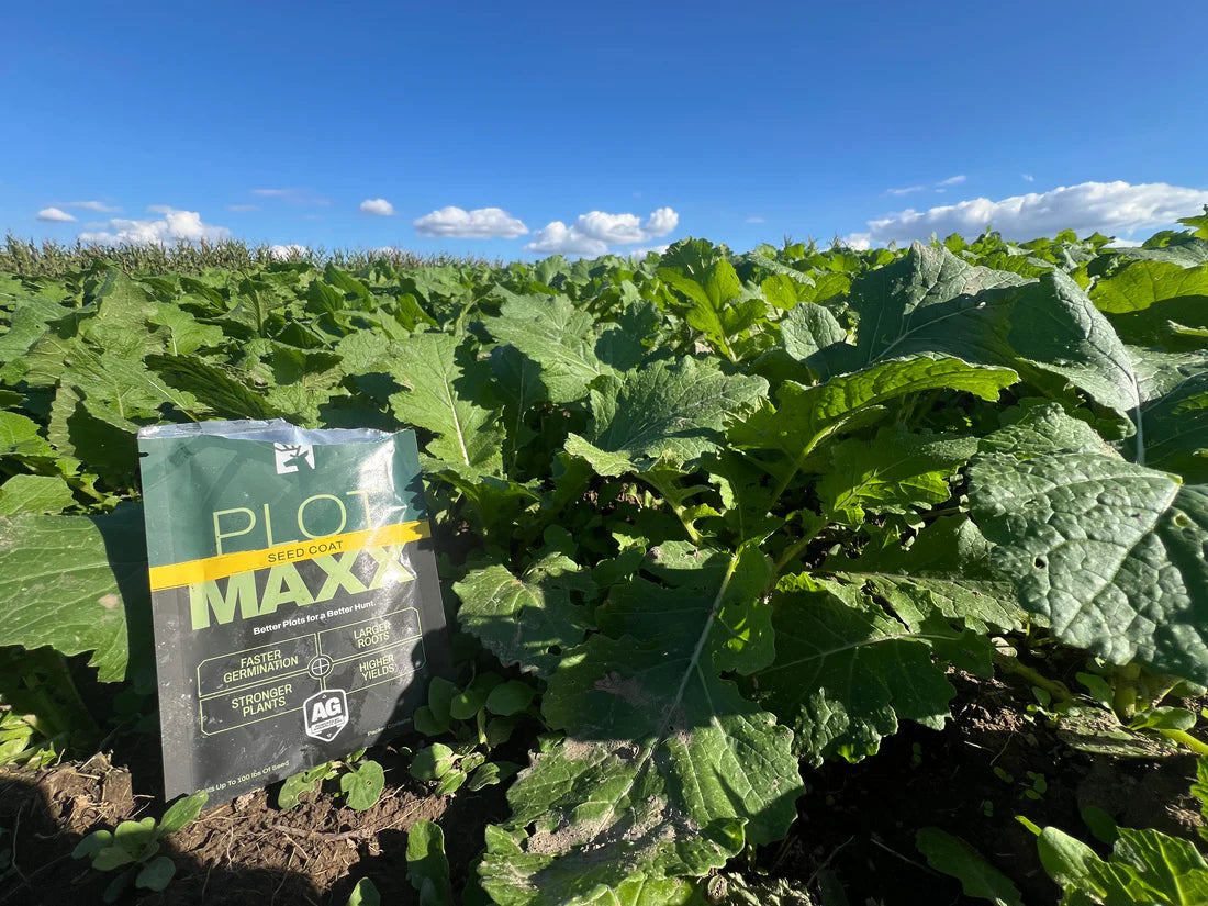 Plot Maxx Dry Seed Coat