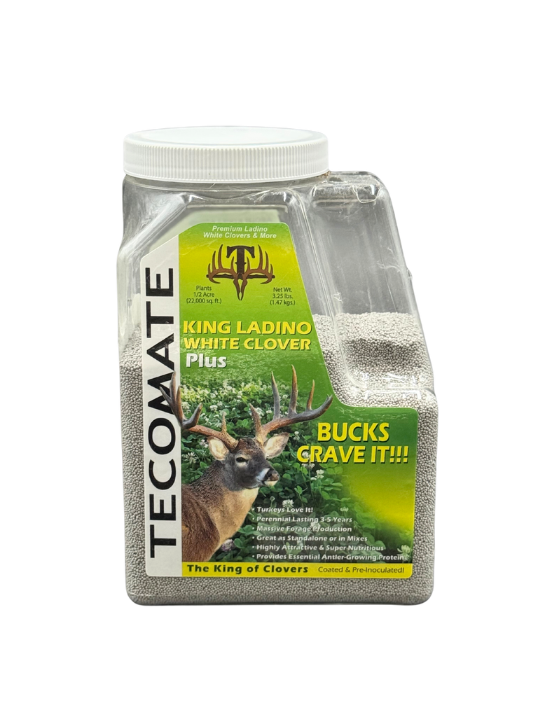 temperature to plant clover seed King Ladino White Clover 3.25#