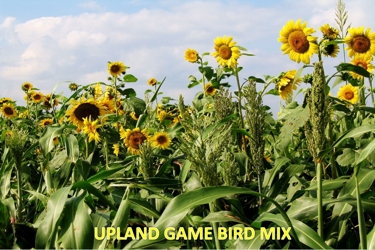 Upland Game Bird Tecomix — Turkey & Game Bird Food Plot Seed